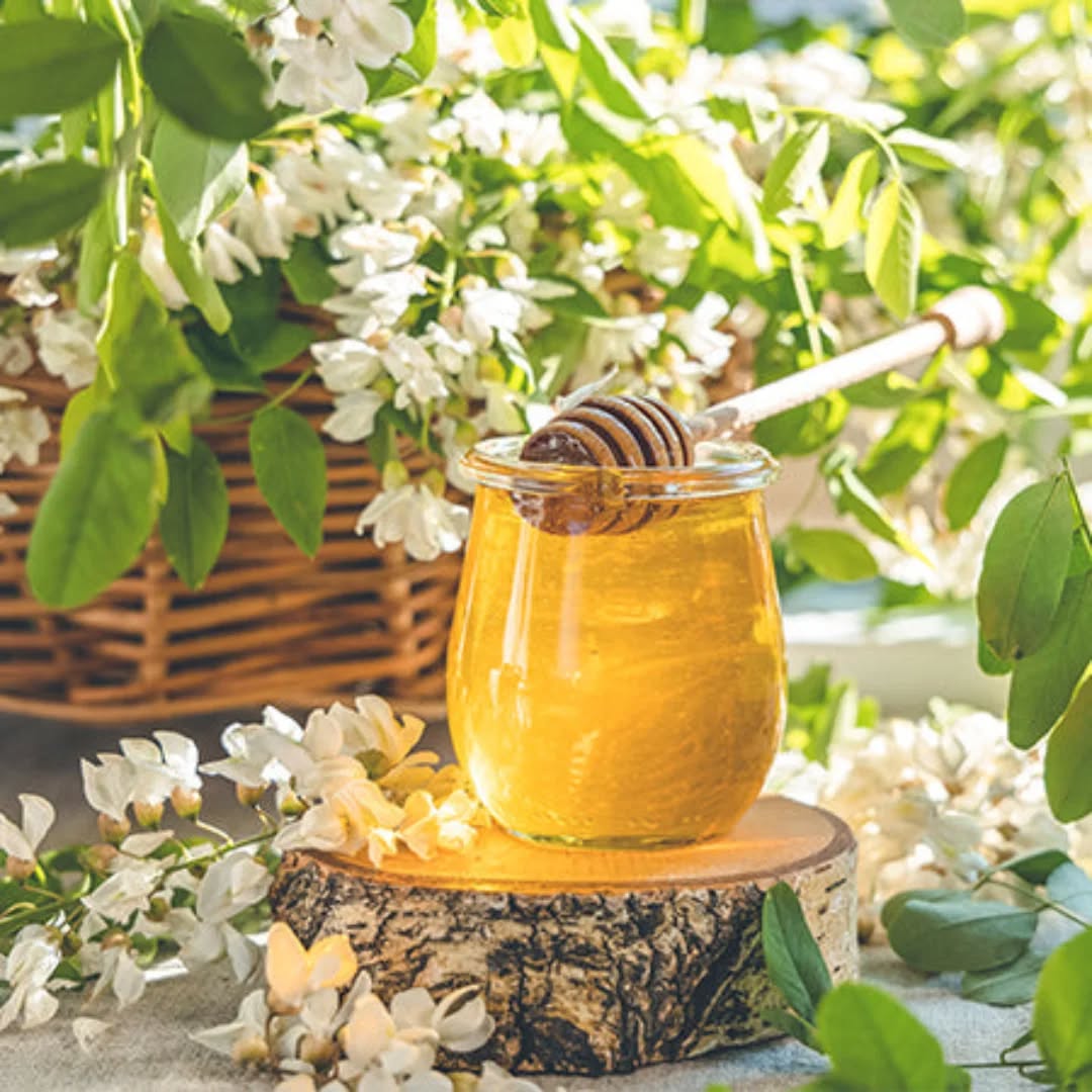 Blossom Organic Sidr & Acacia Honey